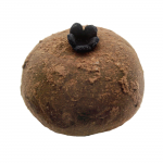 Brigadeiro Empoeirado