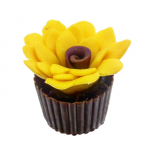 Flor de Girassol
