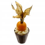 Copinho com Physalis