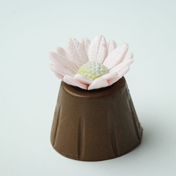 copinho fechado flor girassol