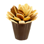 flor de Amêndoa
