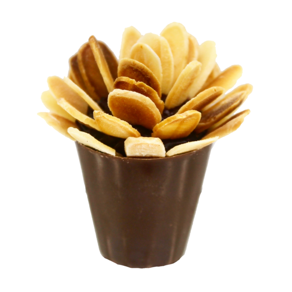 flor de Amêndoa